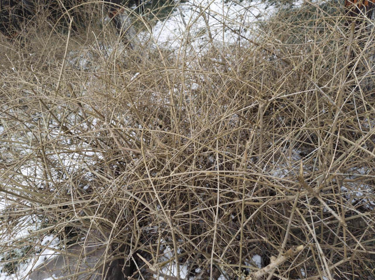 在单位遇到下面三种情况需要注意了：
一、频繁被“临时”分派任务，而且出于个人创意