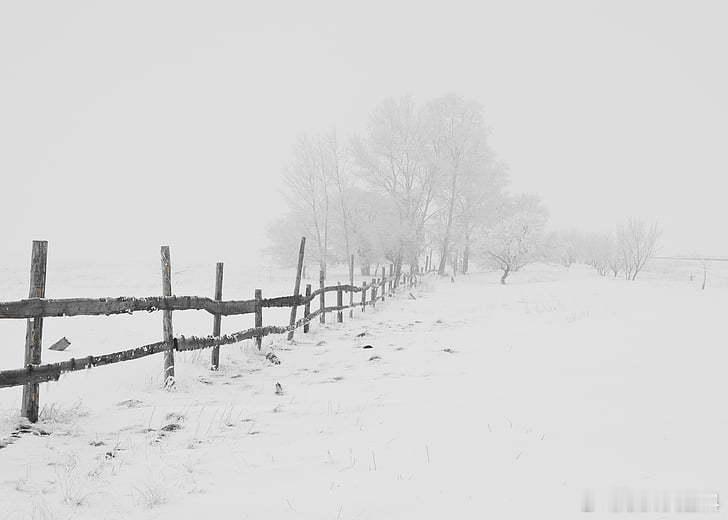 2024余额已不足10天  马上就过年了，今年冬天还没见到一片雪，对于一个从小就