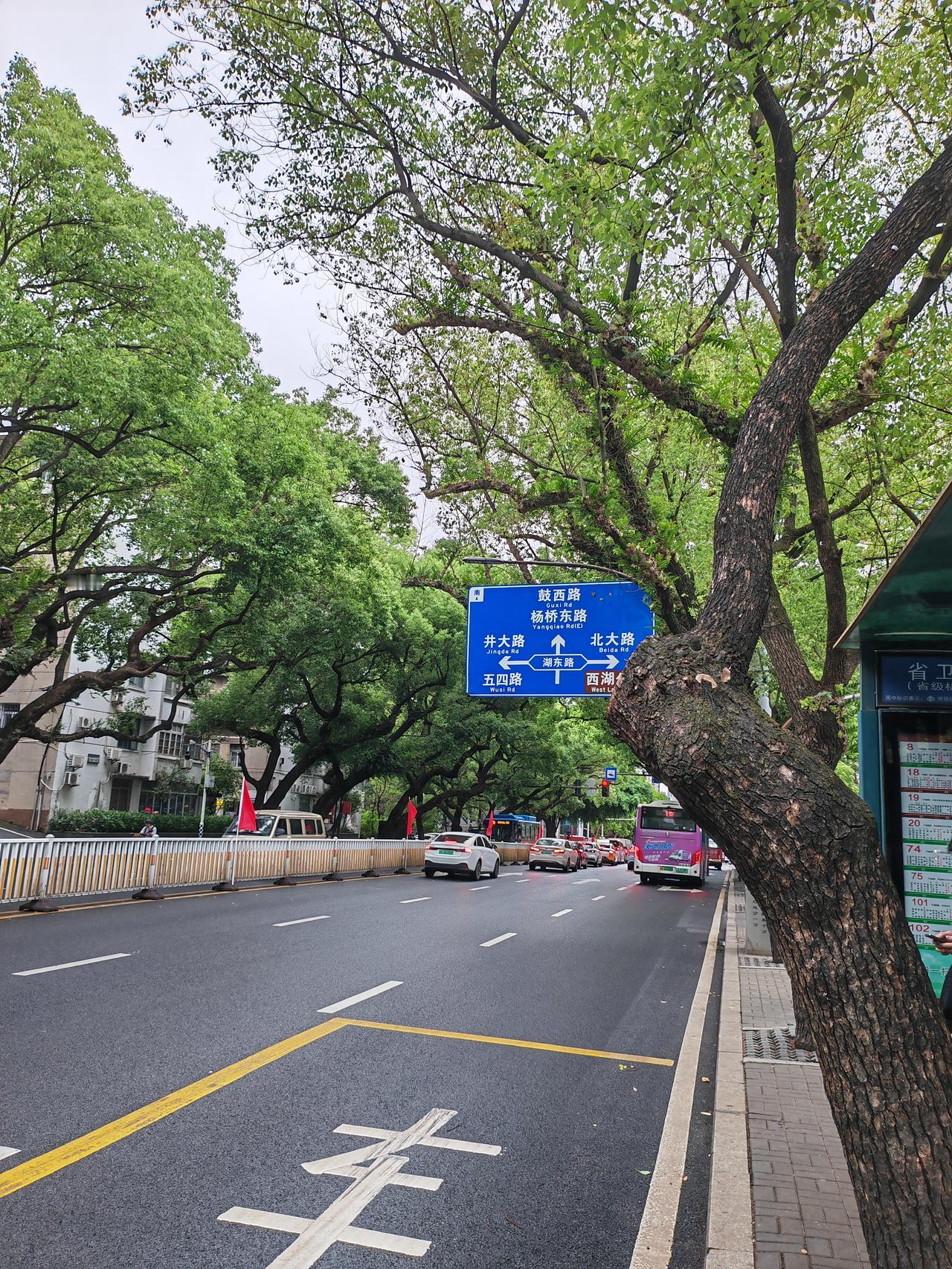 鼓屏路的阴天，加上两侧的绿植，别有一番氛围！