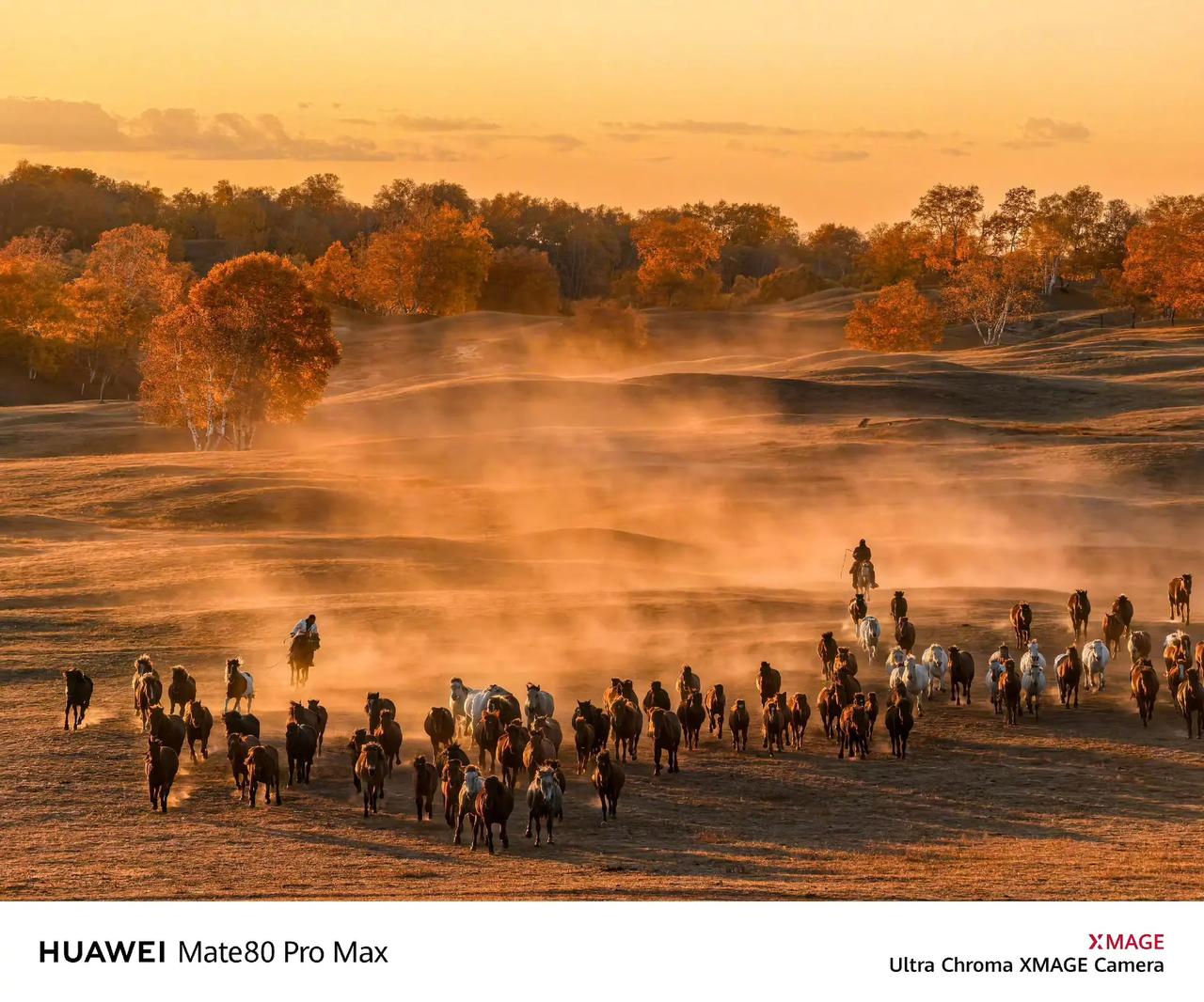 华为Mate80 Pro Max样片出炉。华为Mate80 Pro Max样片出