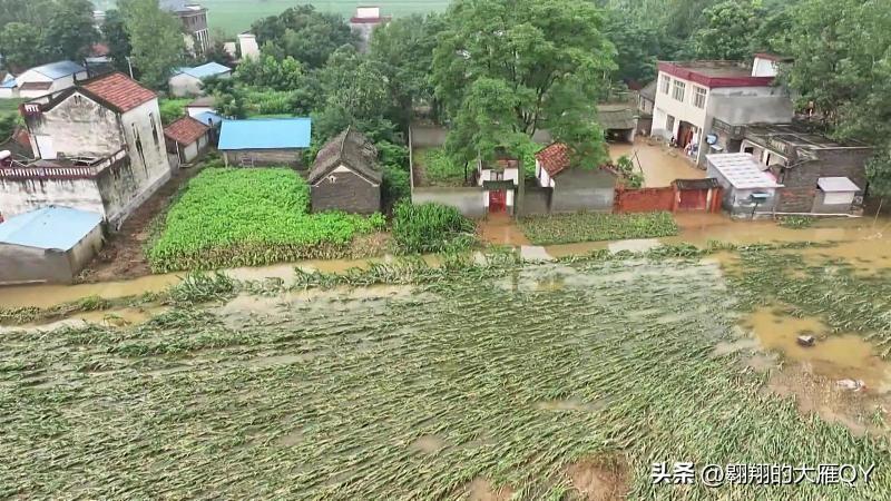 今天是八月二十二民间俗语有
农谚说“不怕八月二十二晴，就怕八月二十二雨”。这天落