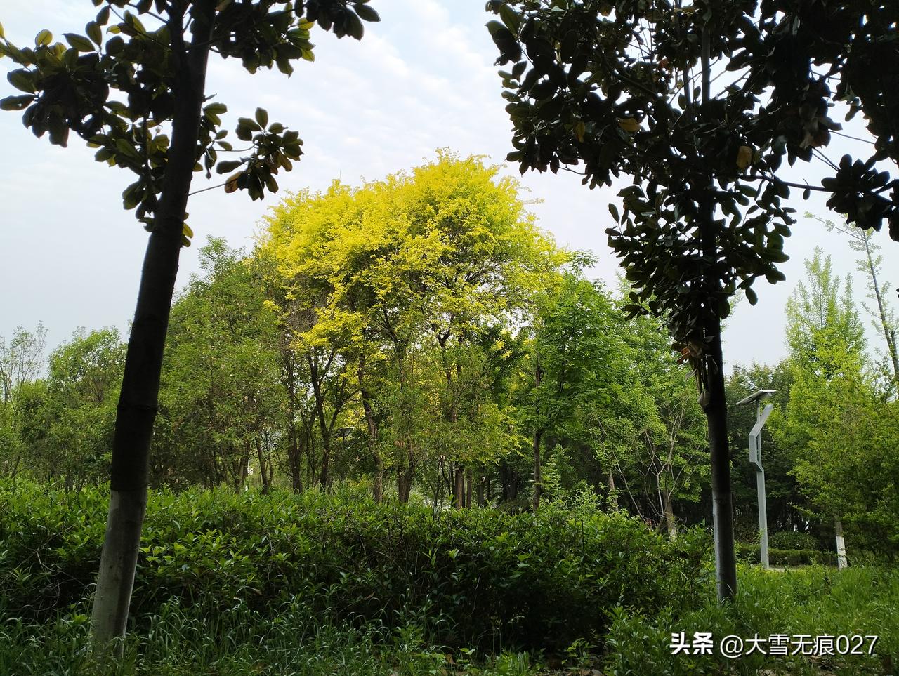 周二，整个人终于从周一的慌乱混沌里缓过来了。
早晨，不慌不忙买好早餐，地铁里也不