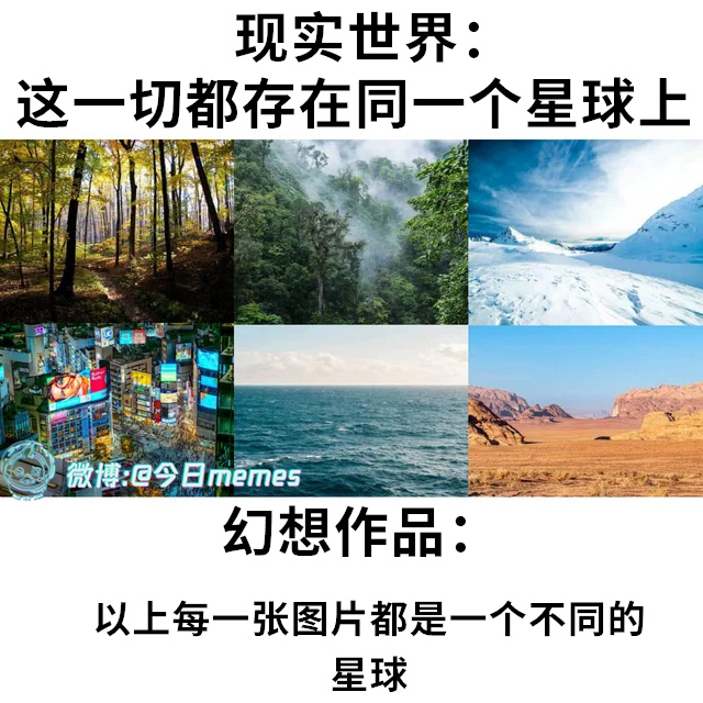 各有风采（9gag）今日meme今日memes