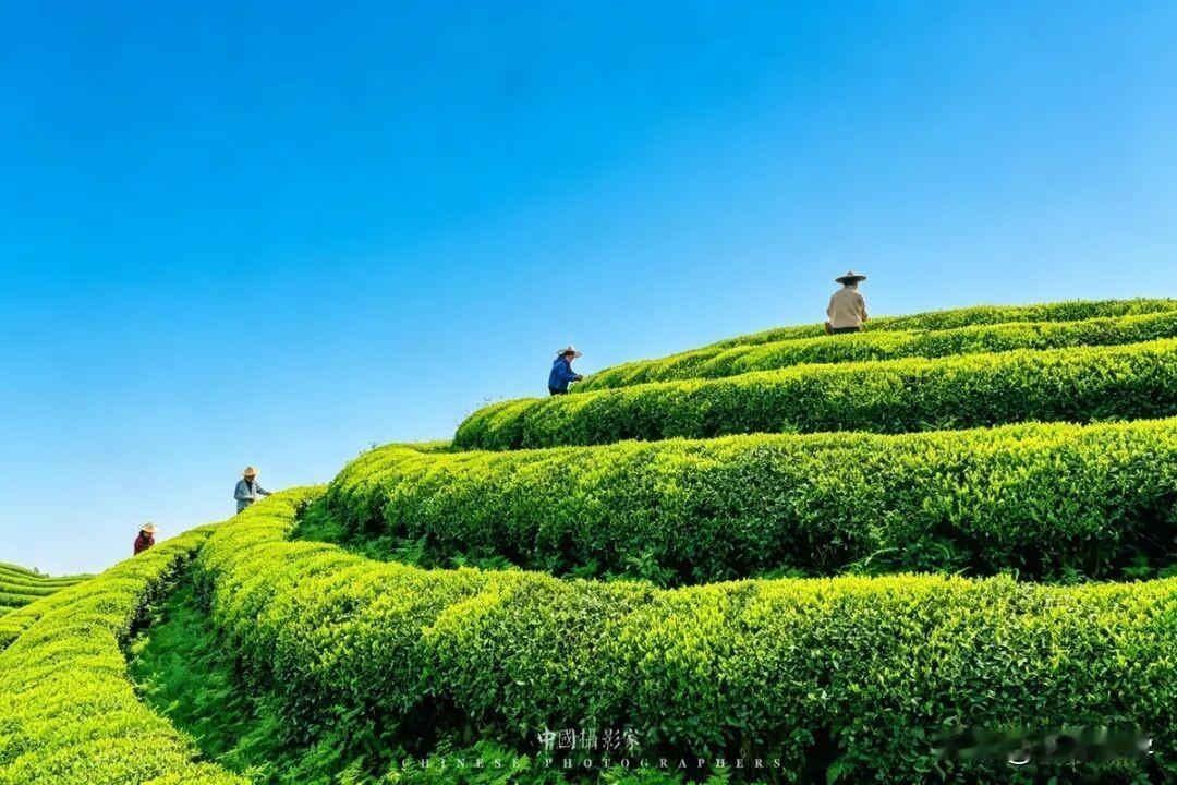 初中生好习惯的养成，从来不是孩子一个人的事，而是学生、学校、家庭三方的同频配合。