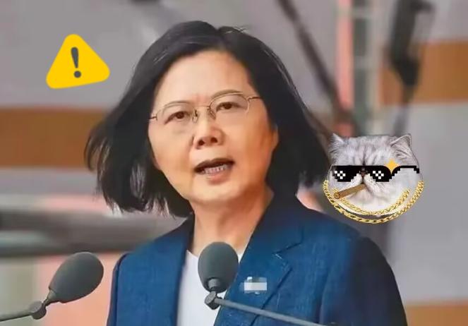 岛内传出消息

“台独首恶”蔡英文将于11月8日，窜访德国，并在11月10日在“