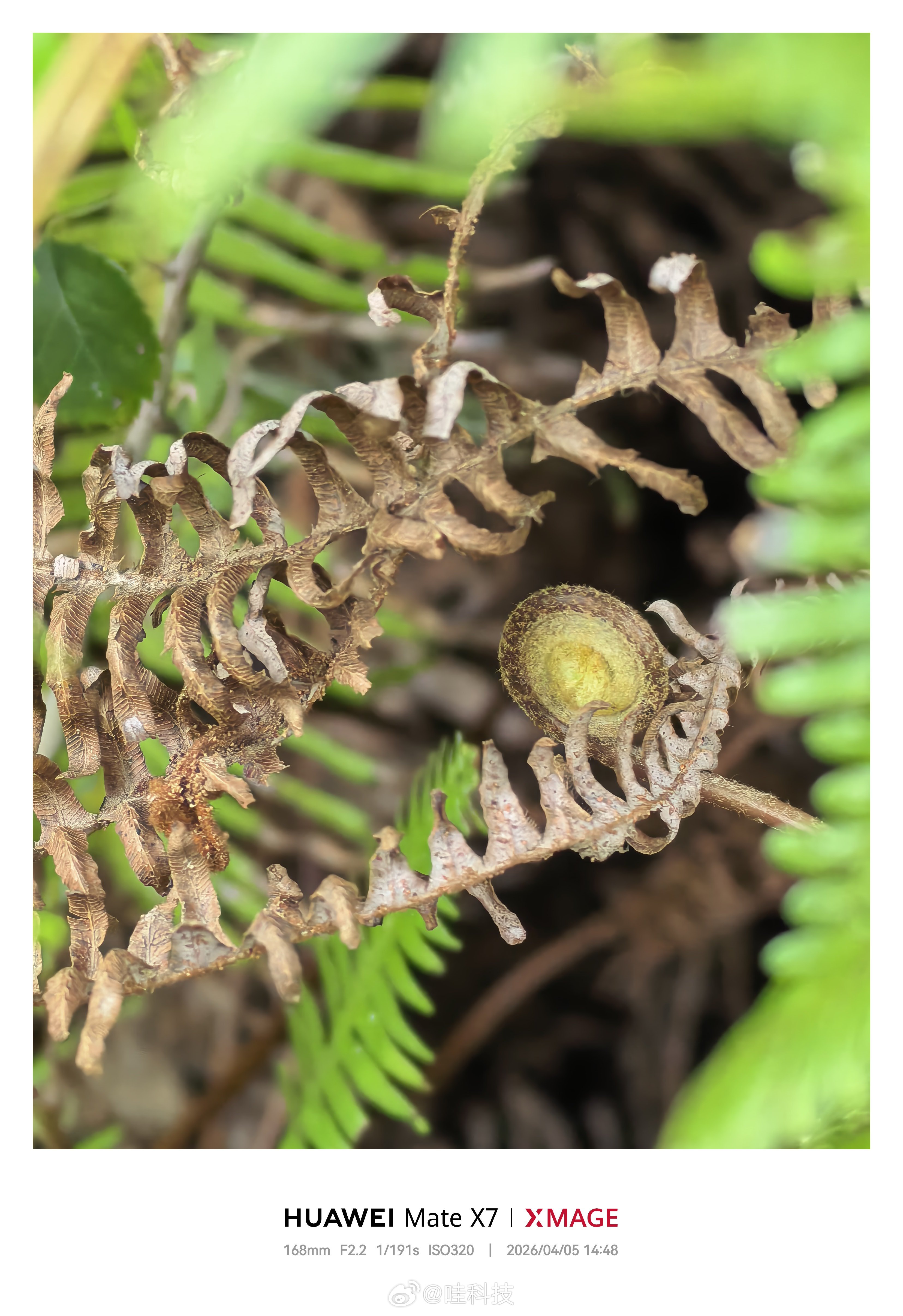 你们知道这是什么么？不准百度，不准AI 上饶