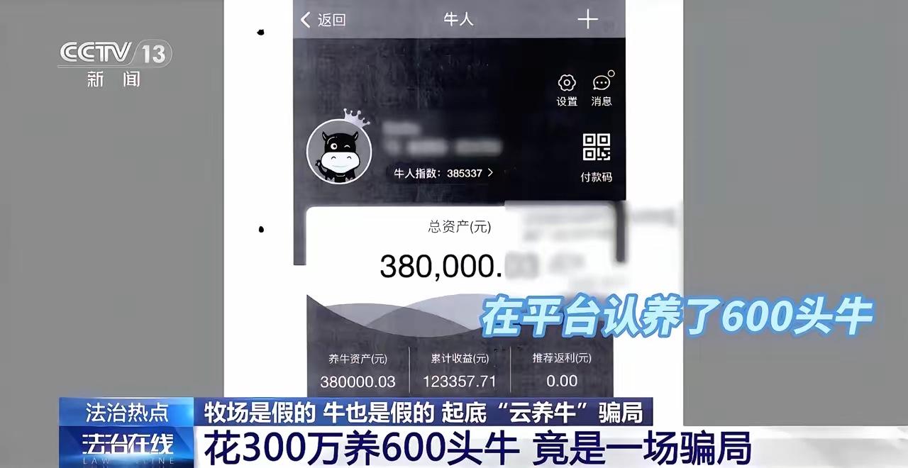 央视曝光云养牛骗局！
监控靠租，牧场靠编，12万人，涉案5.6亿，一头真牛都没有