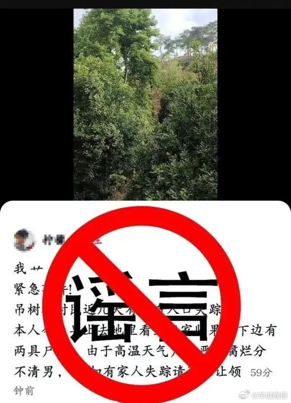 #网民编造果树下现2尸体被罚# 据文山网警6月24日通报，近日，云南临沧网警接到