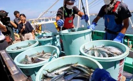 当初日本把核污水排进海里，全球舆论一片哗然，很多人连海鲜都不敢吃，可两年过去，日
