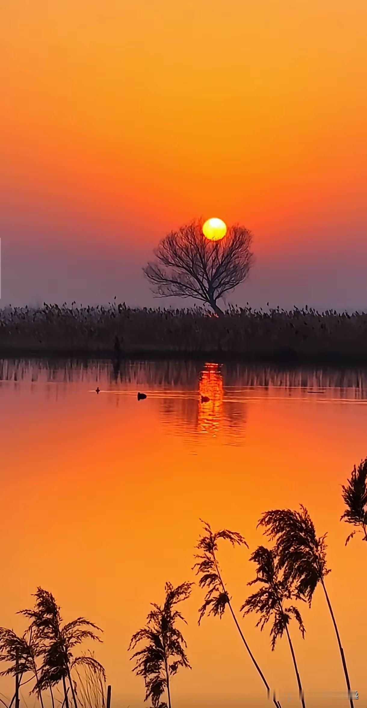 一个人的黄昏
      ———红尘诗组系列之

一个人的黄昏太重
重得让愁绪冲