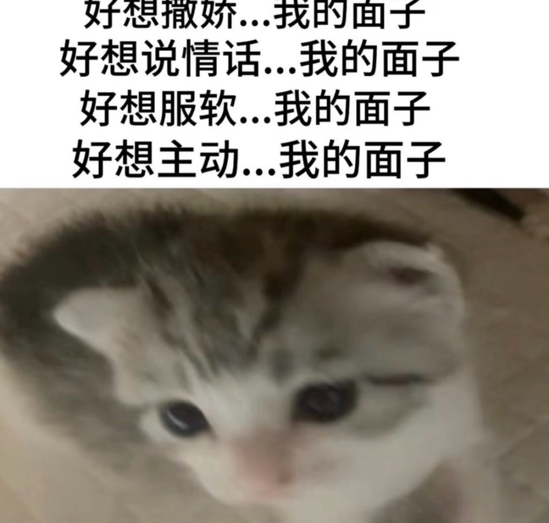 我的面子…今日memesfunny memememe
