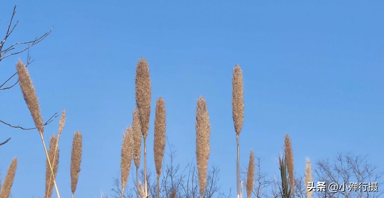 “干什么”用你的家乡话怎么说我们的家乡，“干什么”是这么说的叫你"做介没"。方言