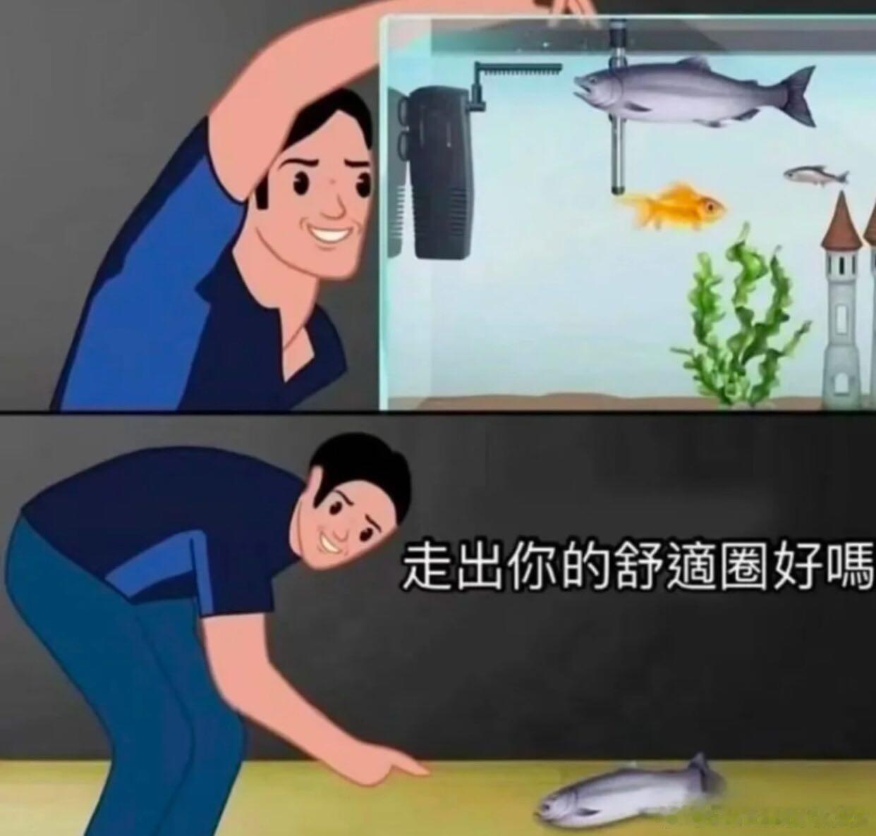 走出你的舒适圈好吗[淡淡的] ​​​