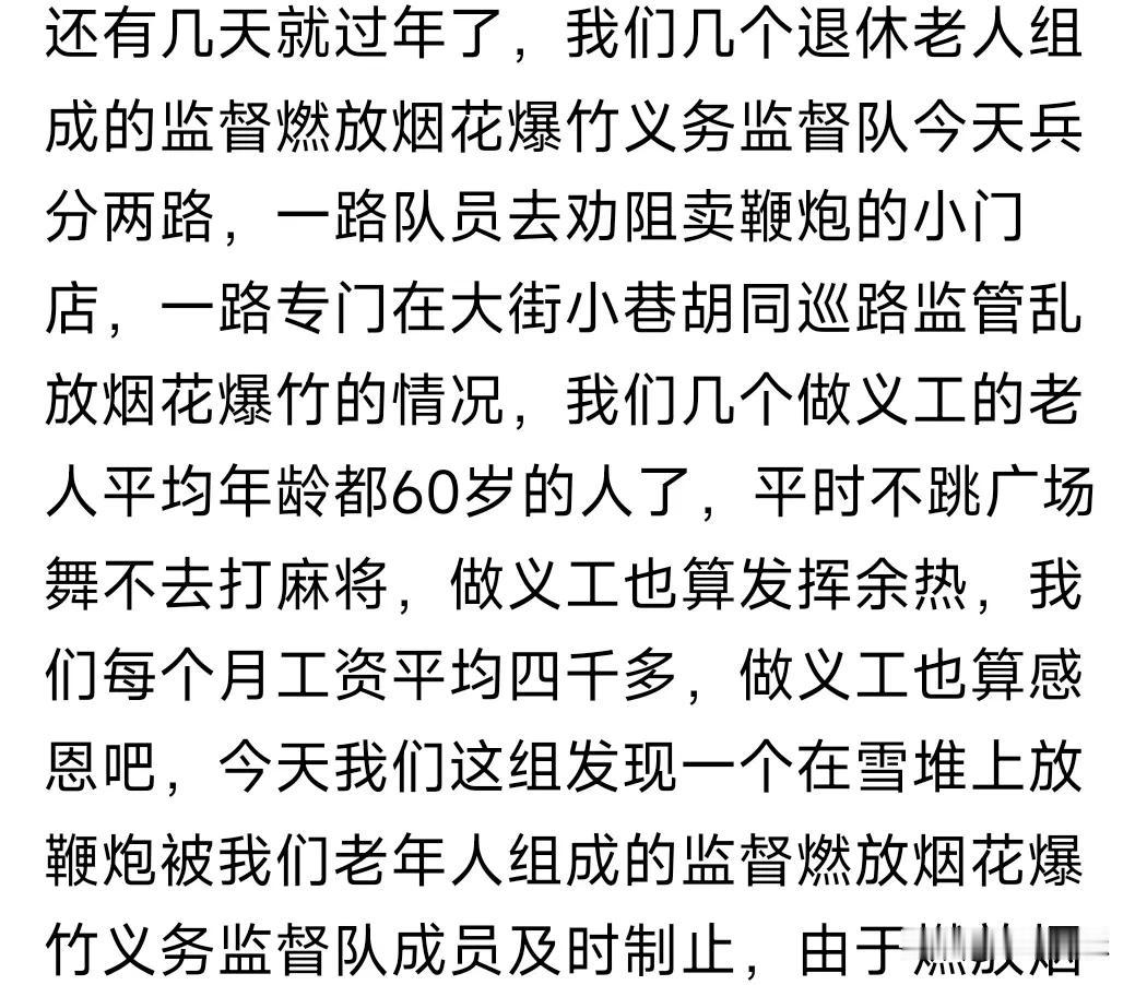 衣食不愁的退休老人组成禁止燃放烟花爆竹义务监督队，还写成感想发到网上，结果网友的