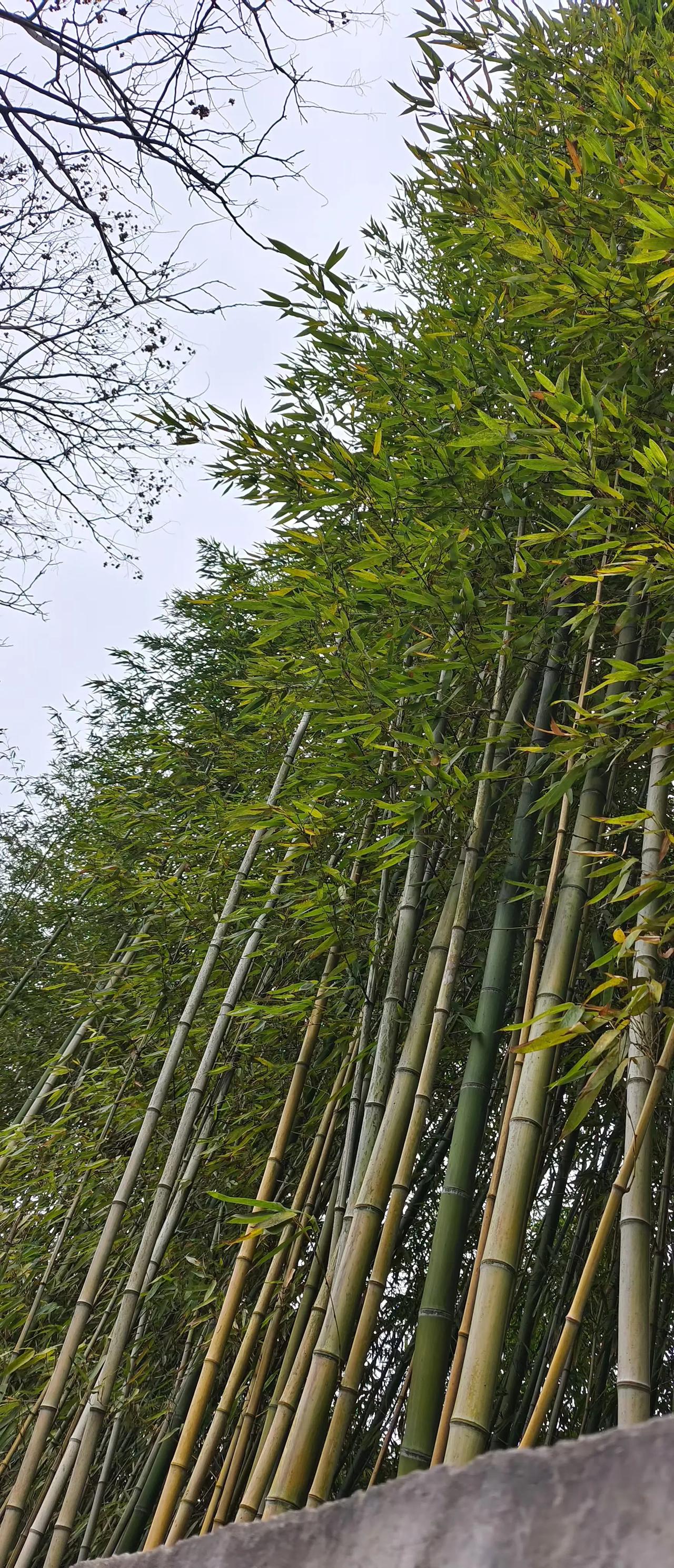 投缘的人之间总有说不完的话，别人都是见了朋友们亲热家务间不怎样，而我们是见几面都