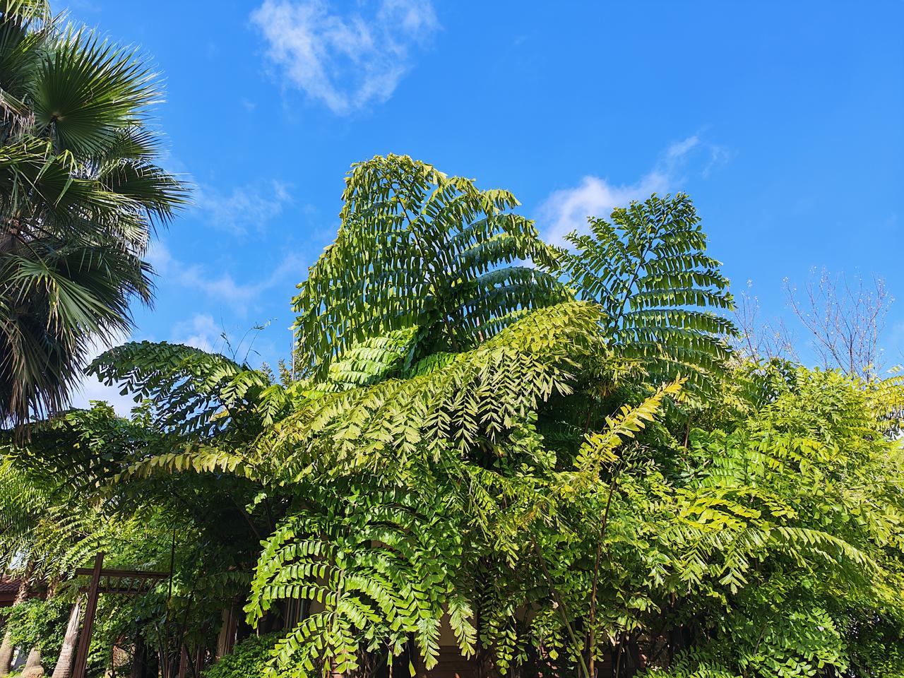 人老了怕没钱没医保。
人一过了65岁，免疫力低了，一些怪病就出来了！
    但