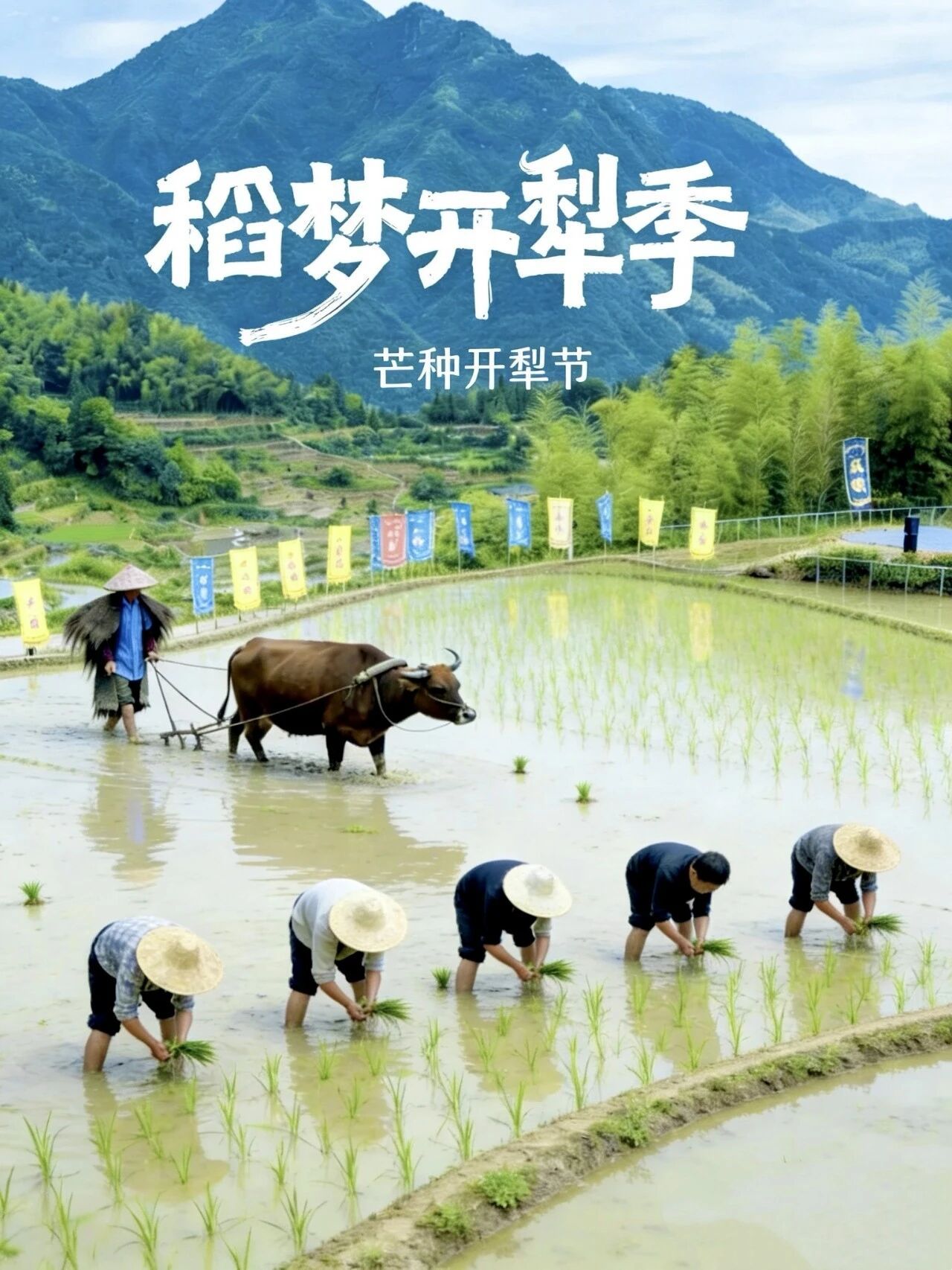 云和梯田非遗芒种开犁祝高考生芒有所得种有收获芒种至，云和梯田农耕忙，恰如高考少年