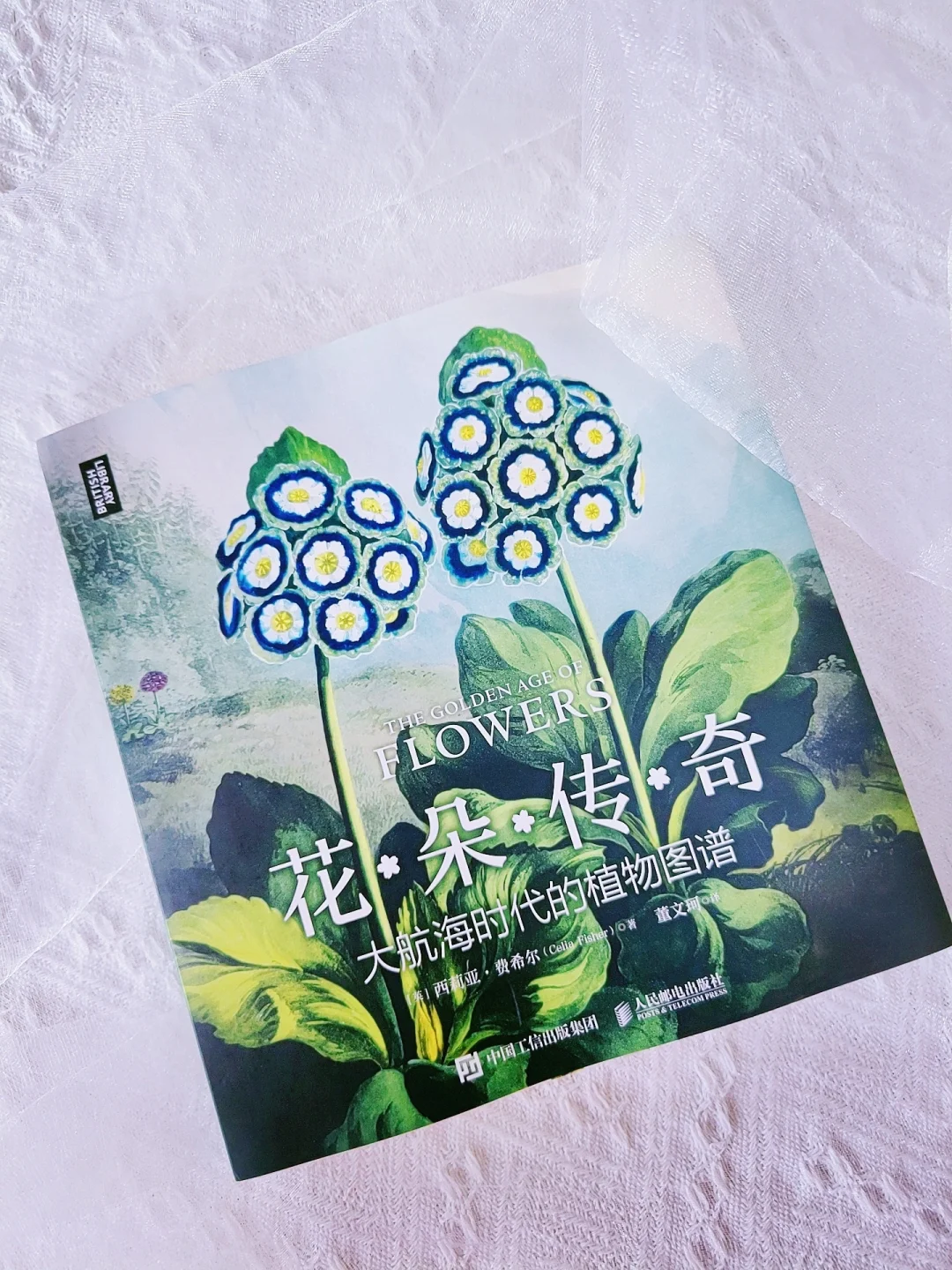 绝美《花朵传奇：大航海时代的植物图谱》