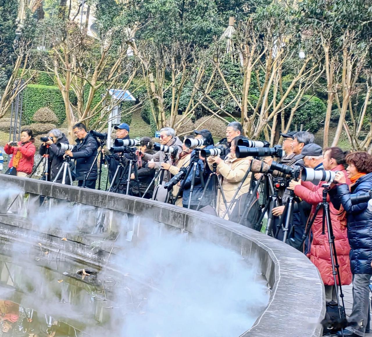 寒冬腊月，万州区西山公园五洲池畔，许多摄影师架起长枪短炮，拍摄一只飞鸟食魚！