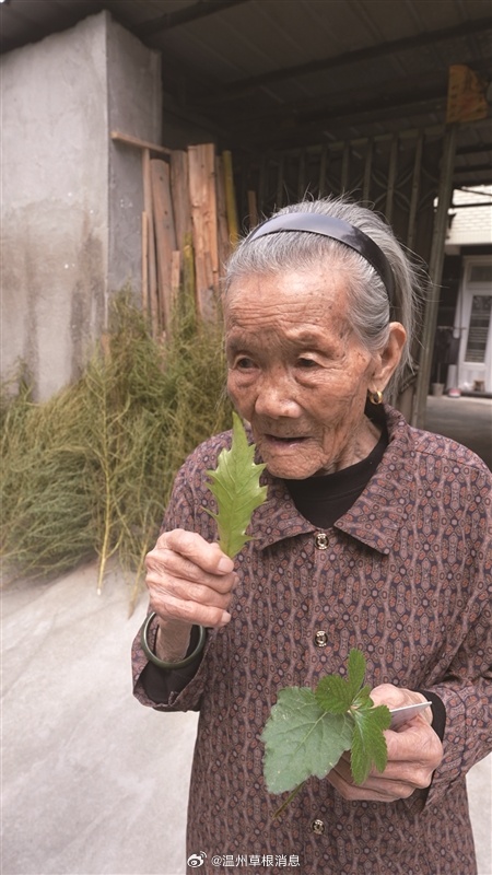 【温州105岁陈阿花奶奶活出豁达人生】重阳这天，永嘉南城前一村105岁陈阿花嗓门