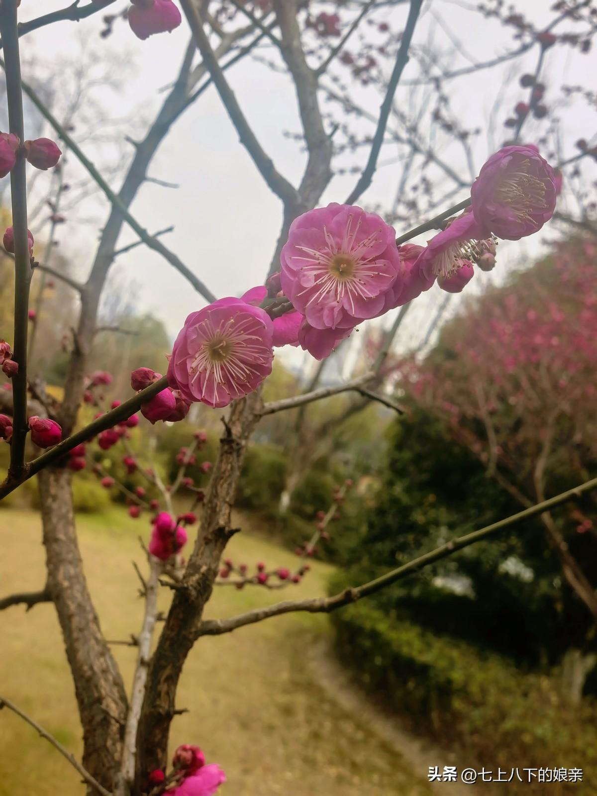 在监狱会见室，他反复向上诉法官解释同一个细节：那张以他名义开的卡，他从未碰过，密