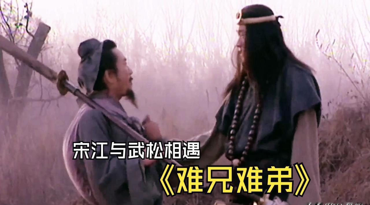 武松和宋江的兄弟情，其实早埋了雷。
一个被体制打断胳膊，一个靠体制做梦。
菊花会