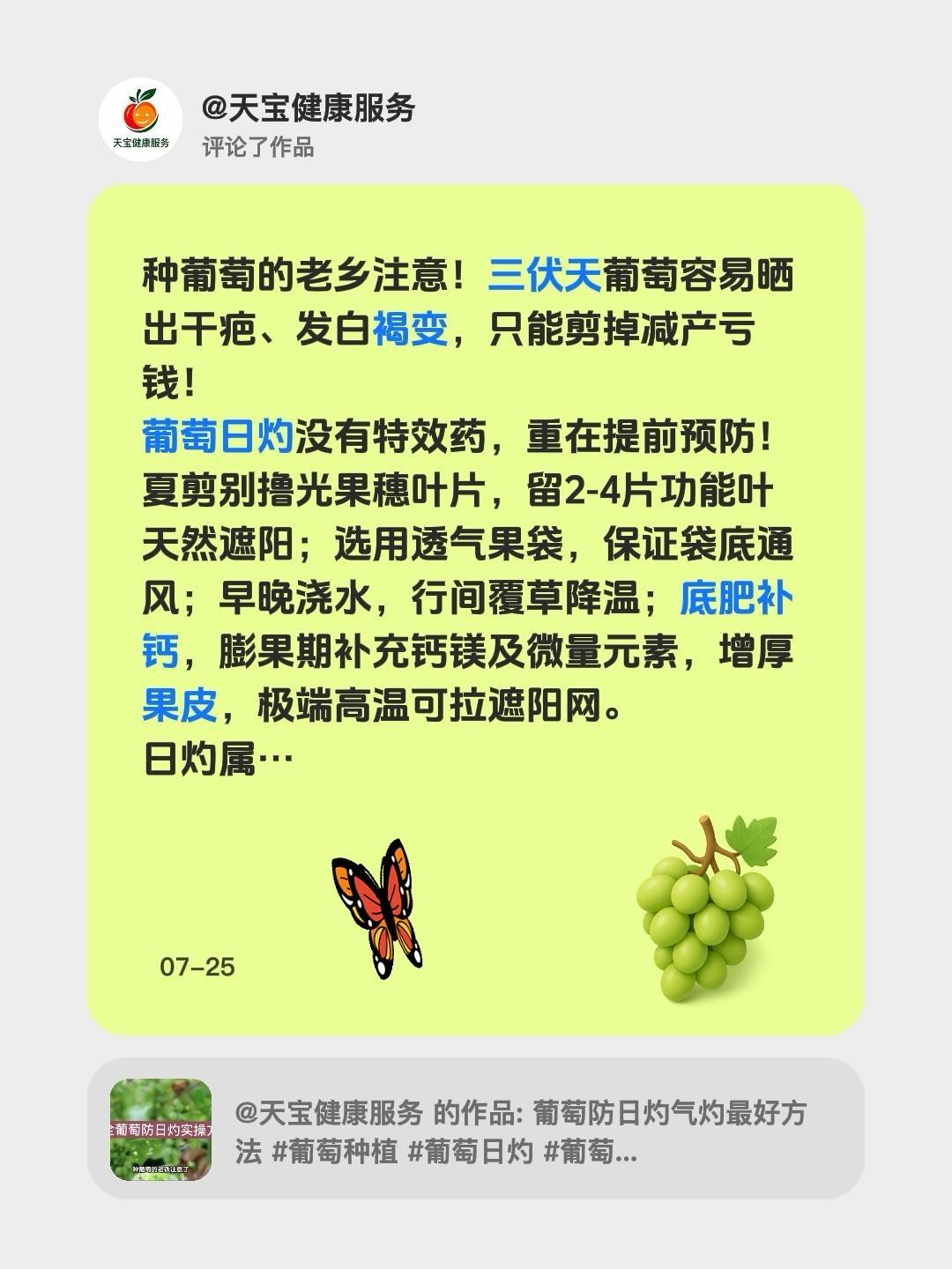 葡萄干粒干果日灼日灼这样调理！我评论了@天宝健康服务 的作品：
种葡萄的老乡注意