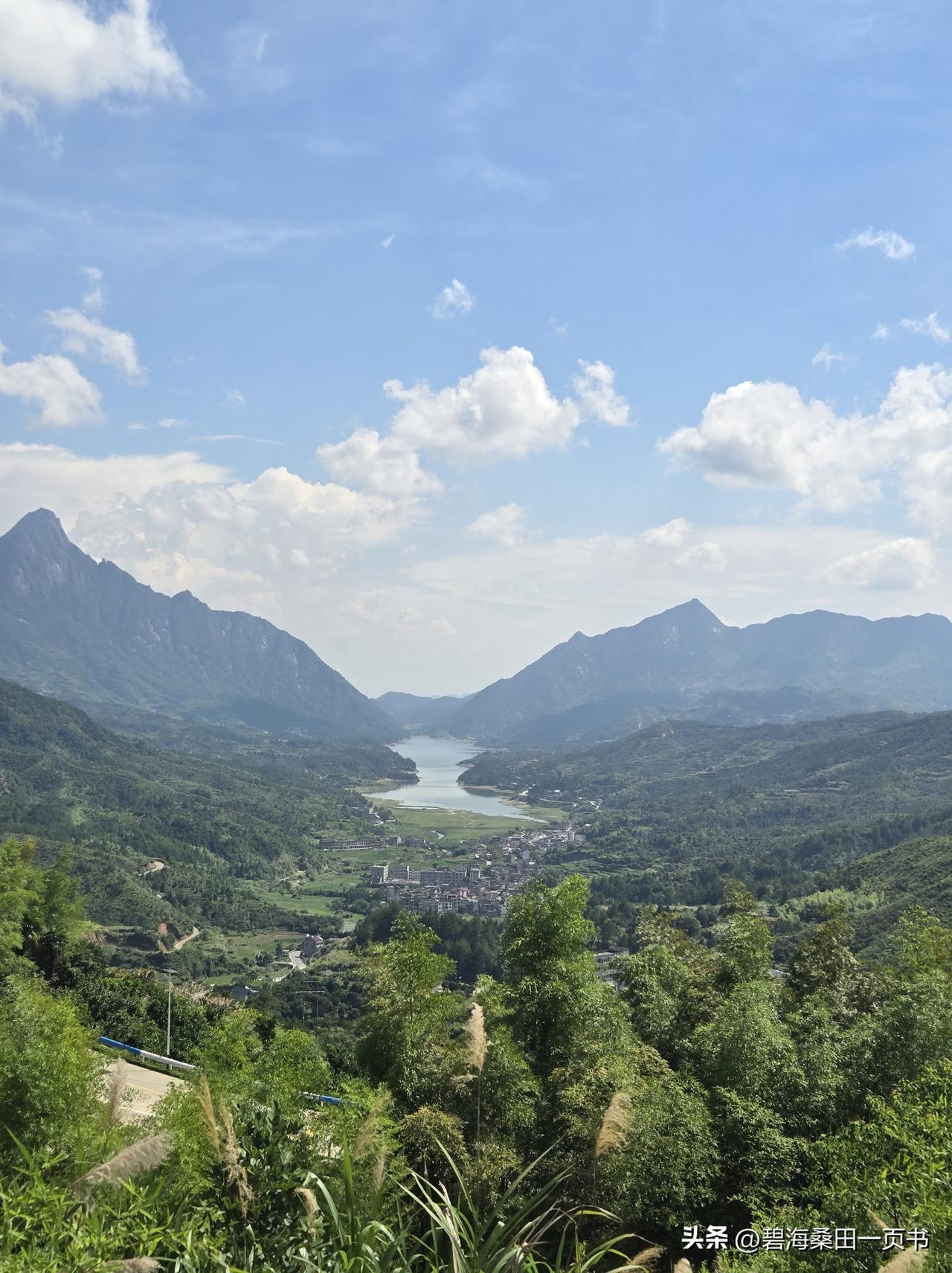 2024年，全日本高考人数仅45万人，高中生愿意参加高考的比例不足50%。

为