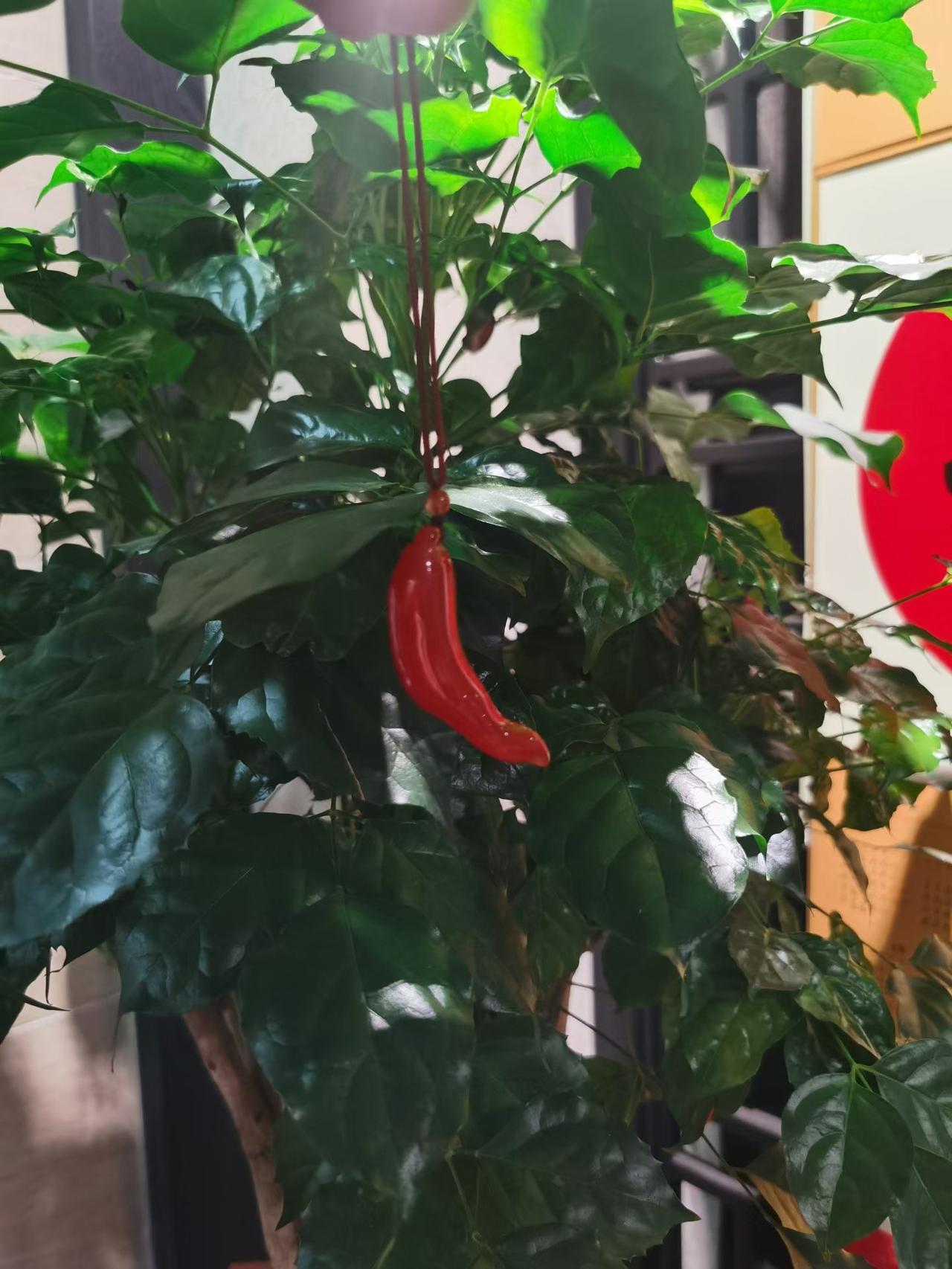 不管大事小事，总有人能给出一堆意见。就像我之前打算换工作，身边人都来发表看法。有