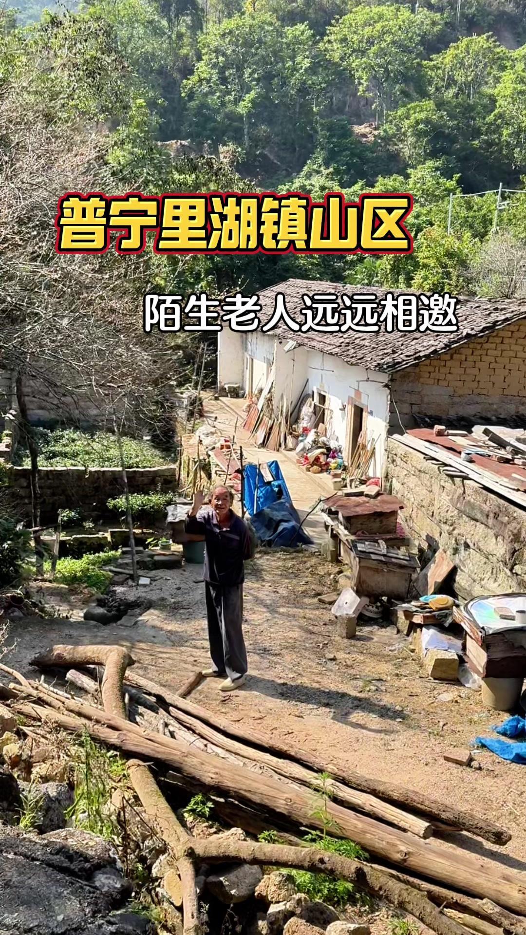 在普宁西部的南阳山区，藏着一个叫橄榄角的小村落。村如其名，村口几十棵百年橄榄树，