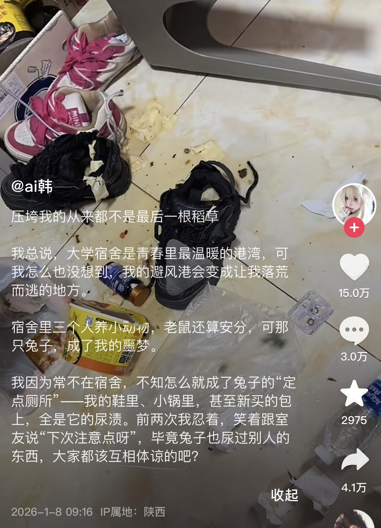 哈尔滨传媒乱不乱，兔子姐和保本哥说了算。听说过保研，听说过直博，第一次听说大专保