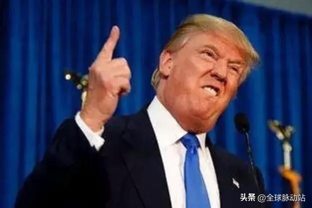 不愧是天生的"表演家"，
不进入好莱坞当演员，
真的有点屈才了。