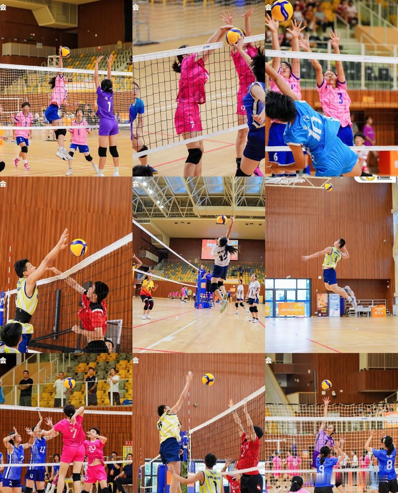 国际排球消息
2025年12月12日，国际排球联合会正式宣布，允许俄罗斯和白俄罗