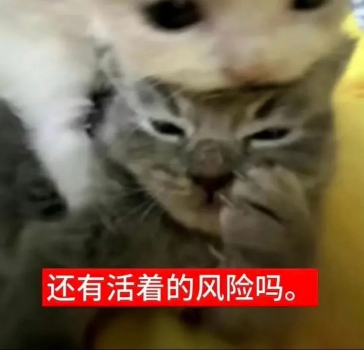 AG超玩会 不是对面这辅助……这对吗双c blackpink 