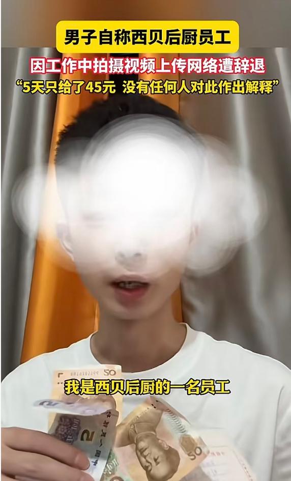 我有个预感，

不仅以后西贝吃饭的人没有了，

就连去西贝门店打工的人也没有了，