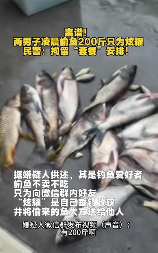 "离了个大谱！"6月22日报道，河南平顶山，一男子虚荣心作祟，他为了证明自己钓鱼