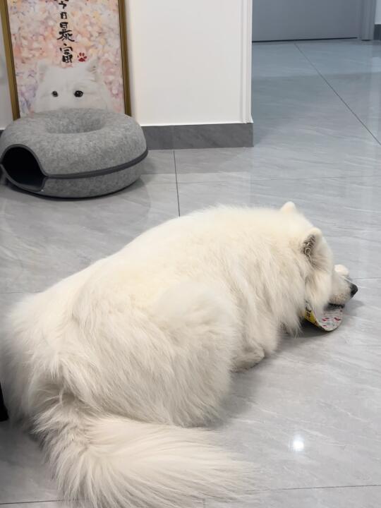 宝宝你是一张大白毛毯子