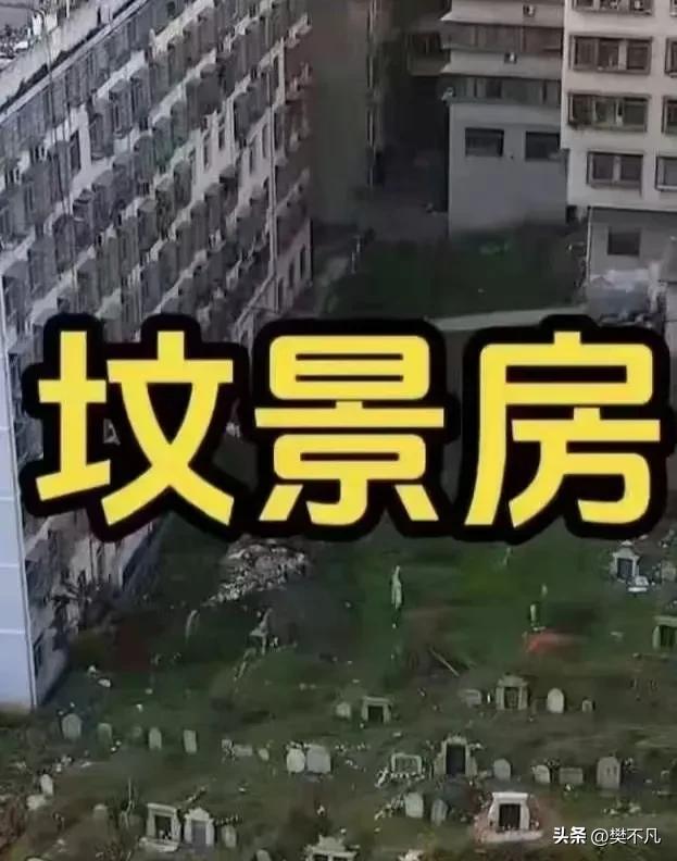 成都的刘大爷和女儿任女士，最近经历了一场“心脏骤停”式的买房体验。

2024年