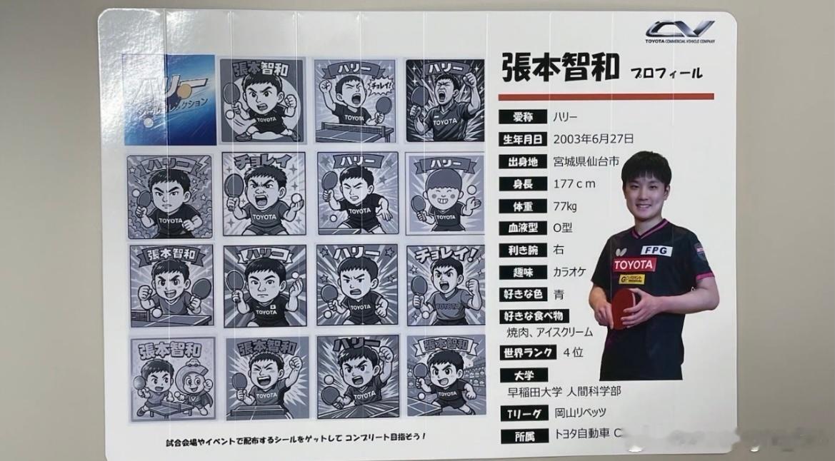 张本智和 简介 昵称 hari 出生年月日  2003年6月27日 出身地 宫城