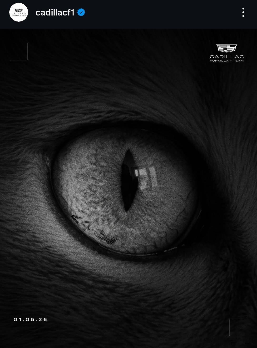 种种迹象表明周冠宇将加入凯迪拉克今天宣布周冠宇将离开法拉利周喜欢猫- 这只眼睛左