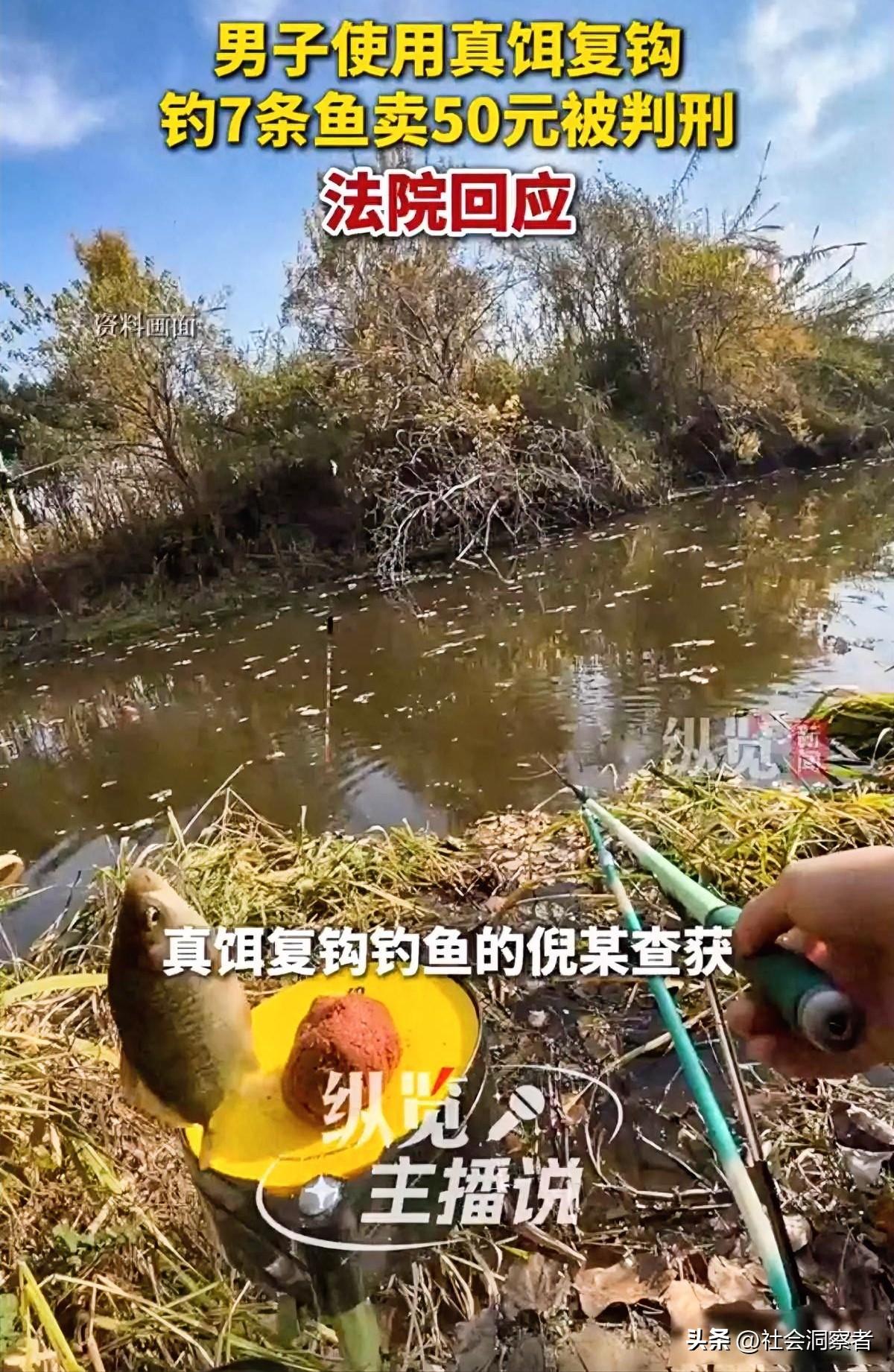 四川禁渔期捞鱼遭刑罚，50元渔利引争议，判决背后藏着什么秘密？

邻水县有个叫倪