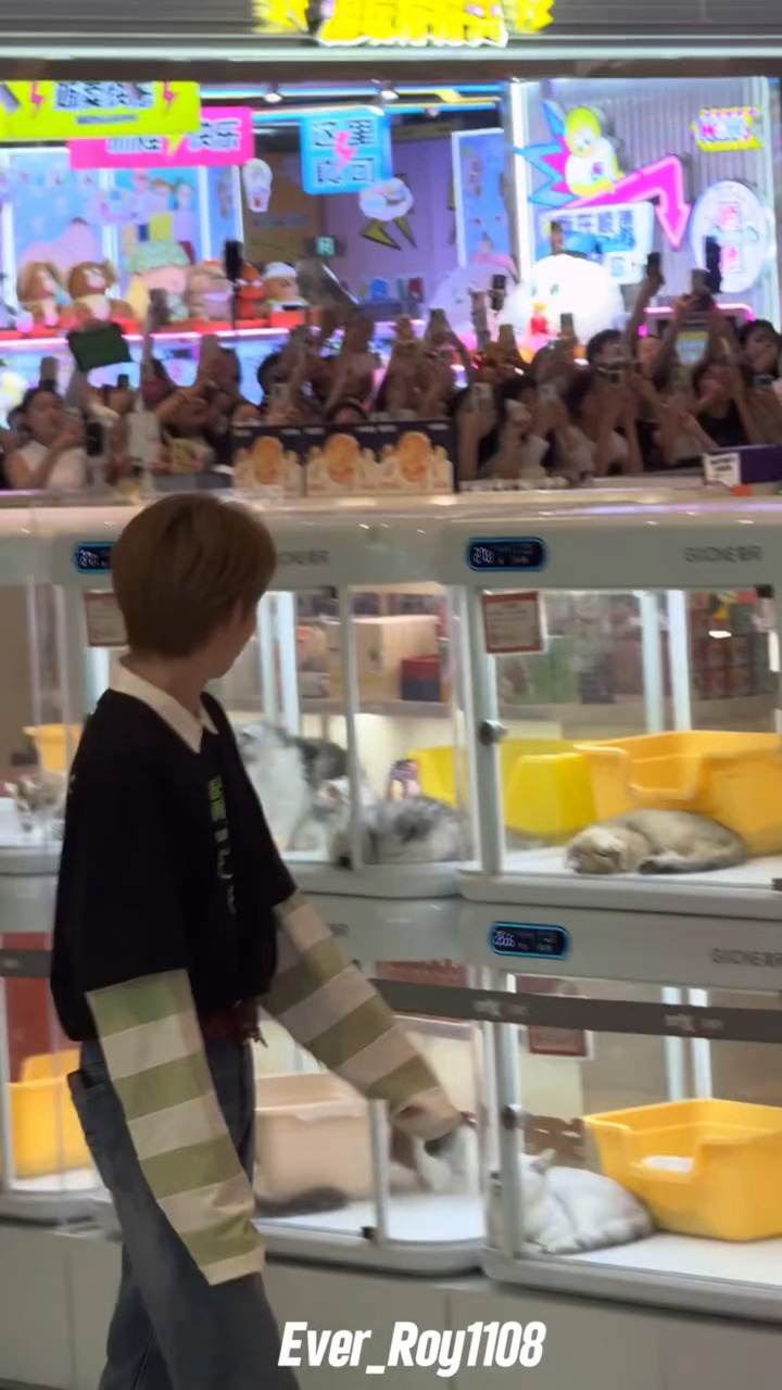 修勾看小猫 萌晕了