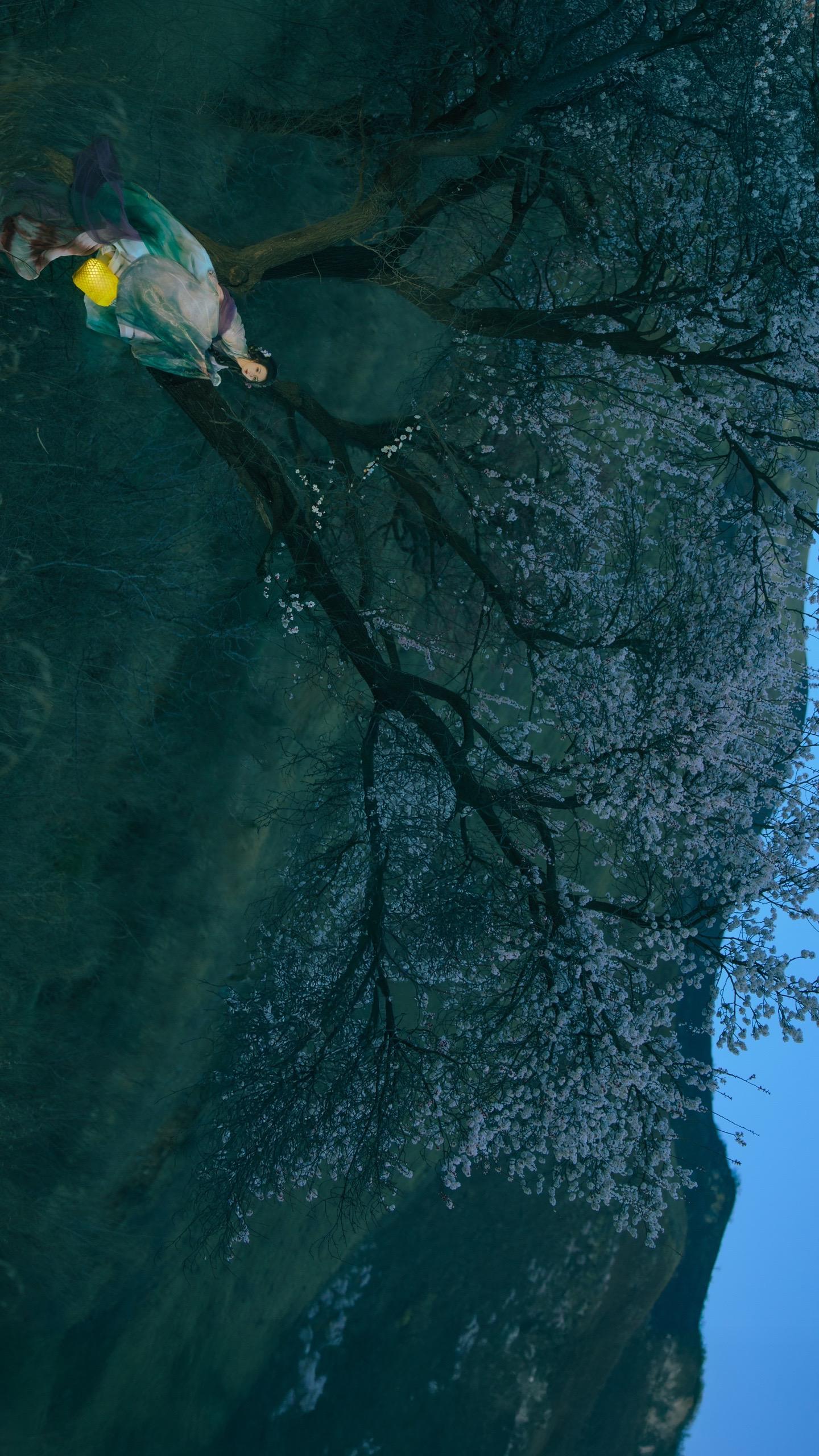 枯木逢春，充满生命力的树永远吸引我。