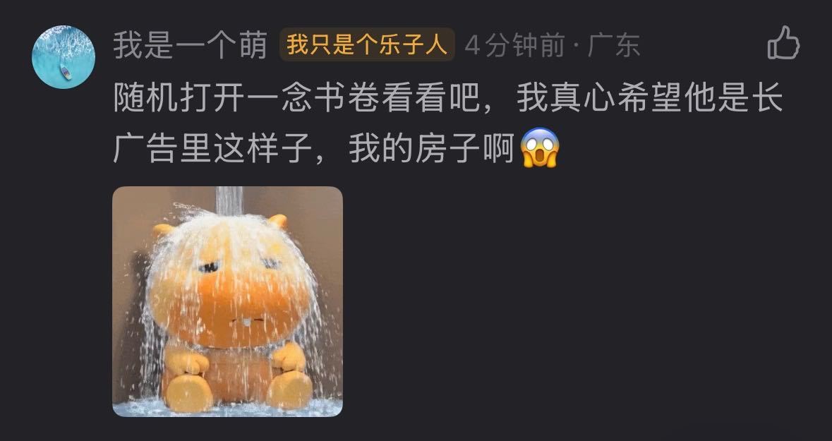哪来的房子，神经 