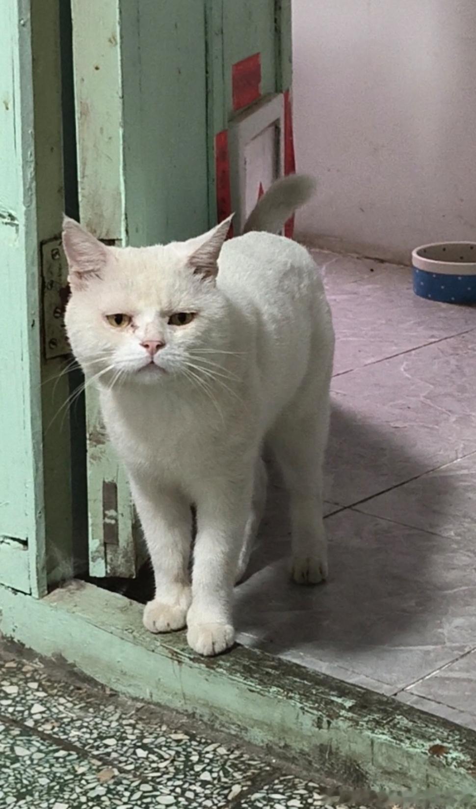妞子下午也请假了。吃完饭去按摩去了。我买菜回来，她跟我说她下午要去按摩，就打电话