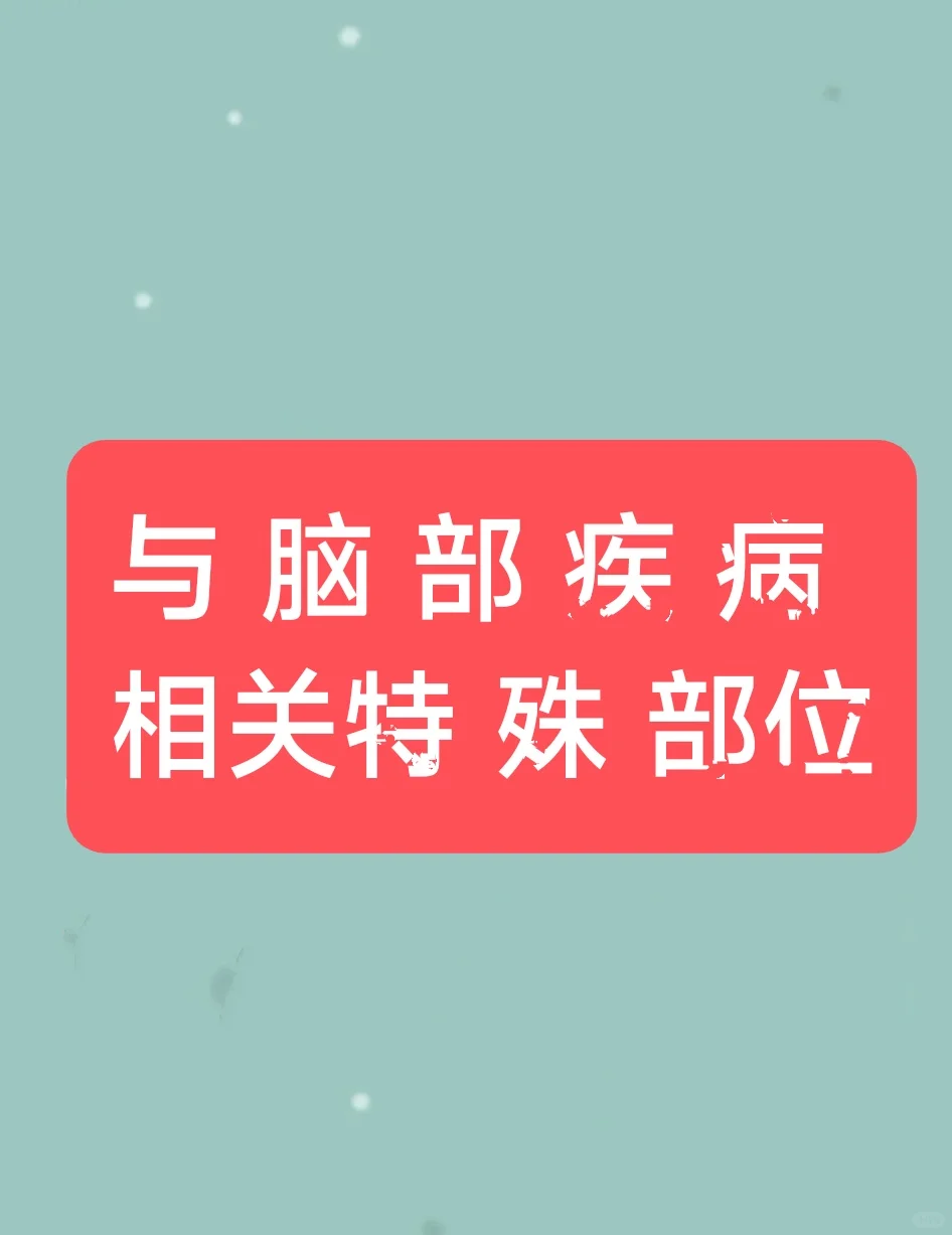 与脑部～相关～部位