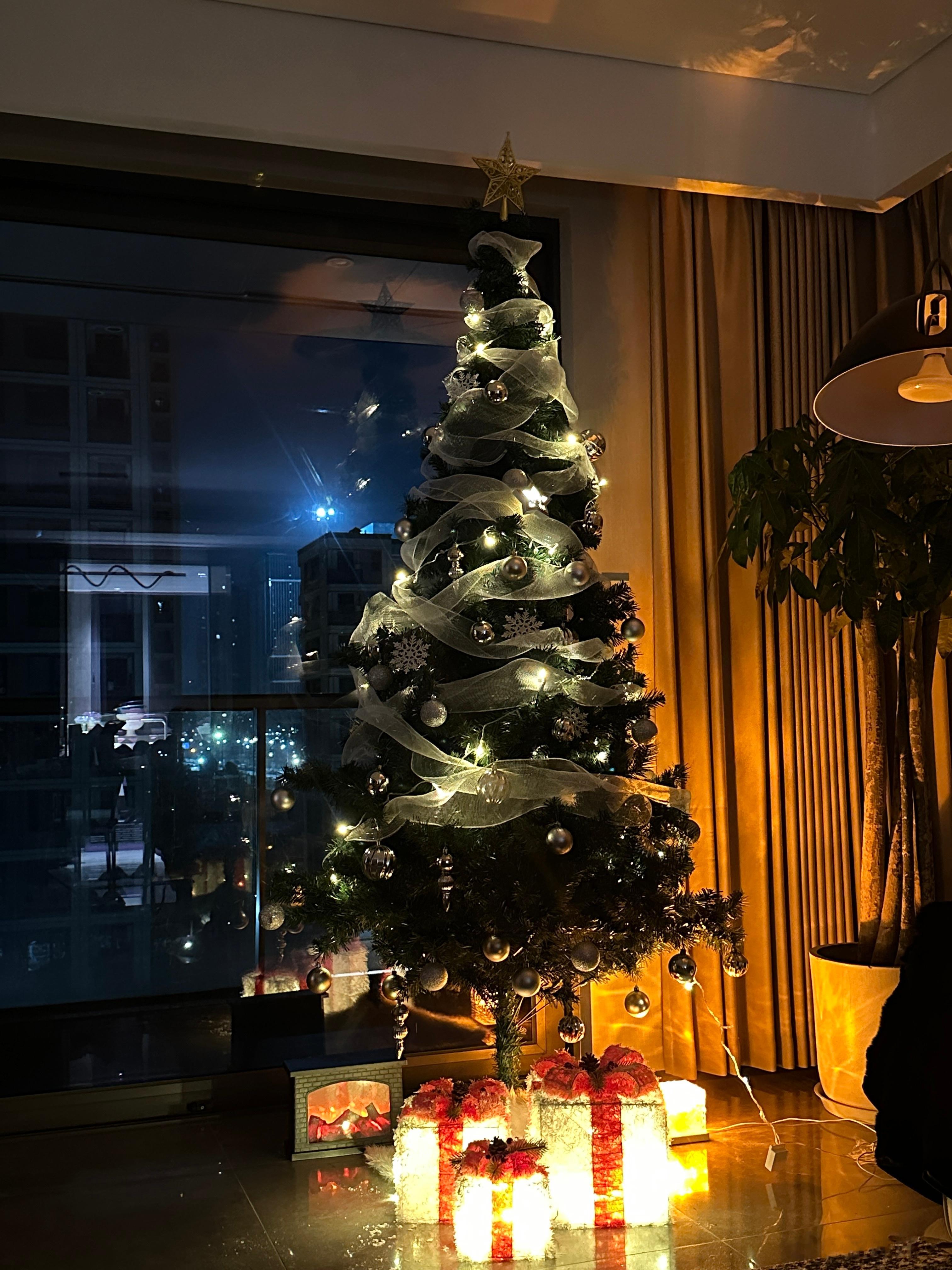 圣诞快乐🎄 ​​​