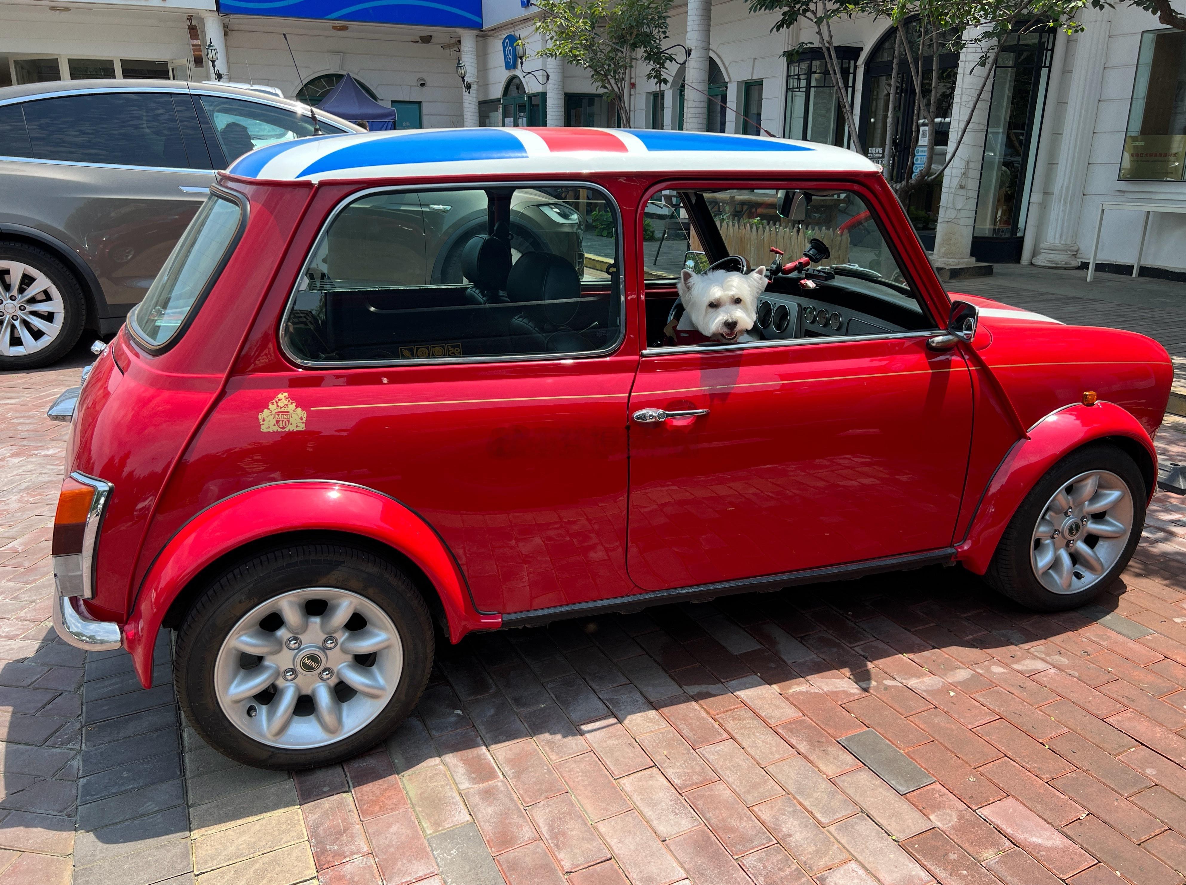 早想果丹皮和我的小BOB了梦想家ALI 北京·Runoilbus燃油巴适