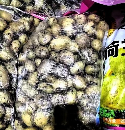 陕西商洛，一司机运输35吨土豆下高速走绿通，谁知收费员在检查完后，认定这些是土豆
