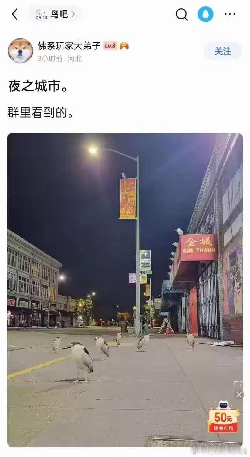 夜之城